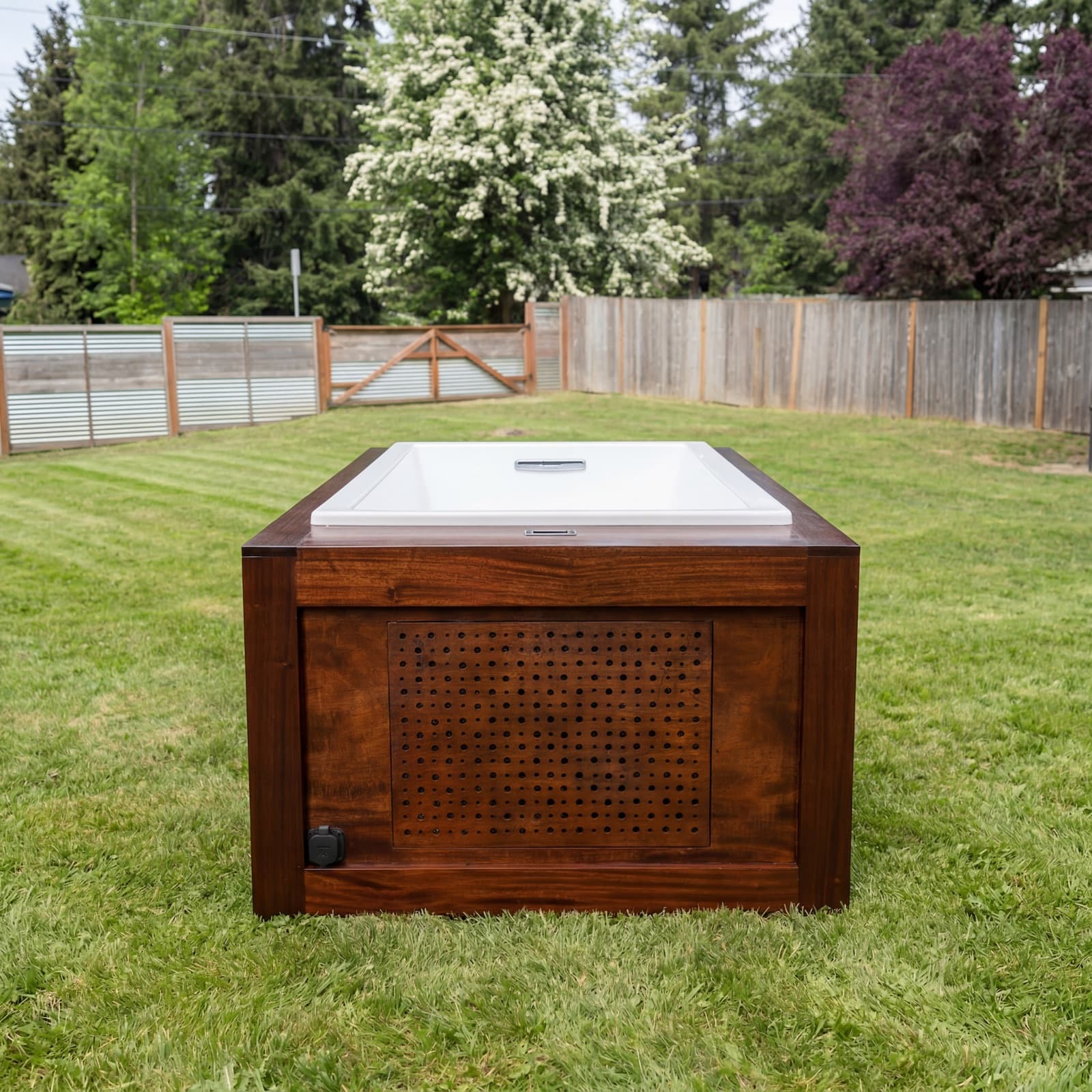 Mahogany cold plunge head-on in the backyard — perforated chiller-vent panel, white basin at the brim, fence and flowering tree behind