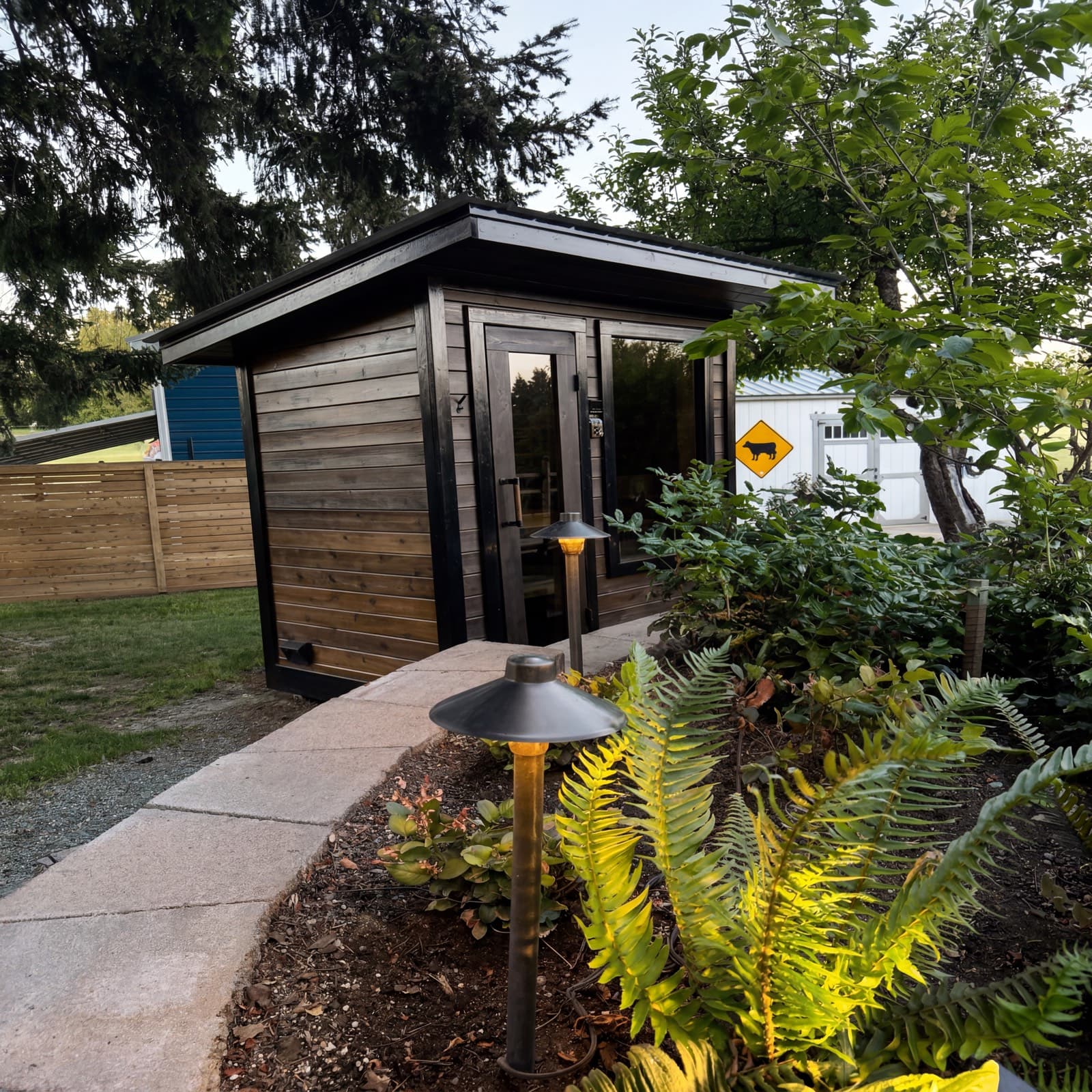 Cedar sauna at dusk with standing-seam roof, glass door and window glowing, a lit garden path and ferns leading up to it