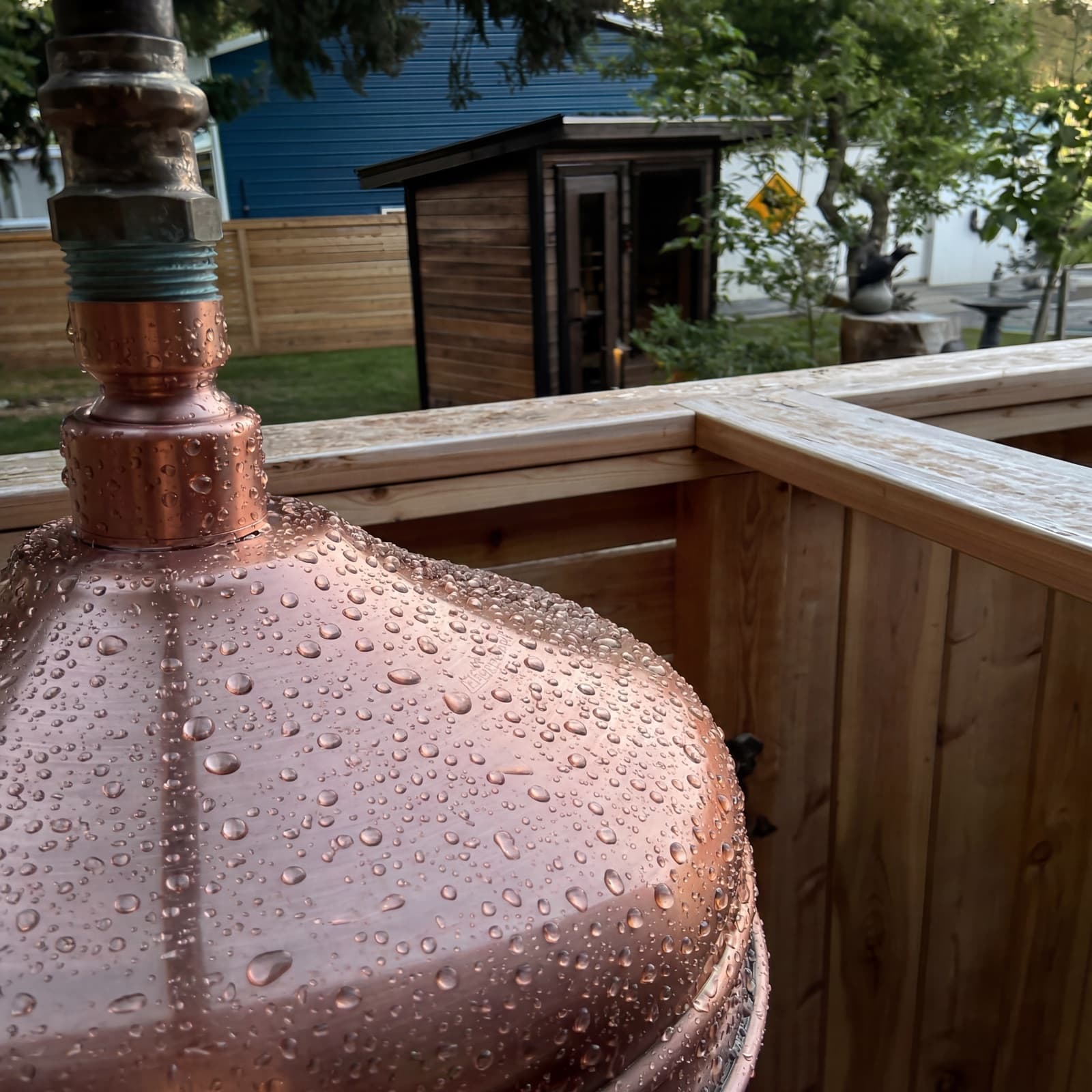 Underside of the copper rain head beaded with water droplets, cedar framing and backyard beyond